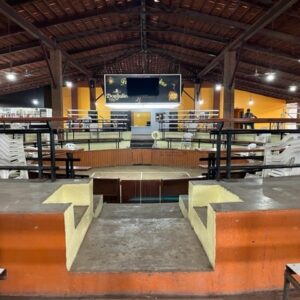 Propiedad en Venta Carretera Chapala $45´000,000 con 11,143 M2 Aprox