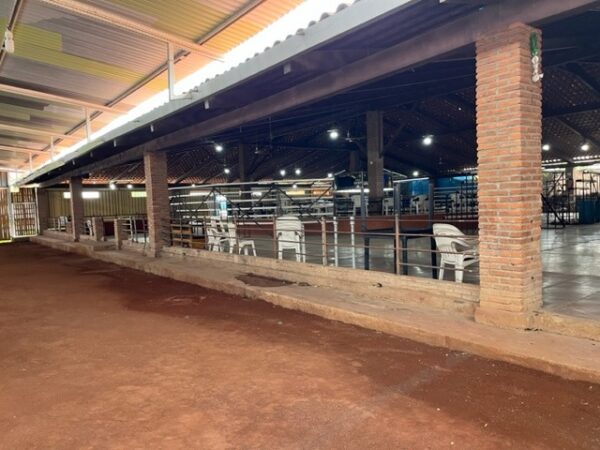 Propiedad en Venta Carretera Chapala $45´000,000 con 11,143 M2 Aprox - Image 3